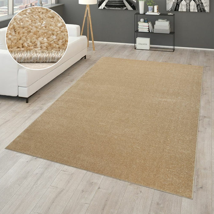 Beige Plain Soft Rug #12506