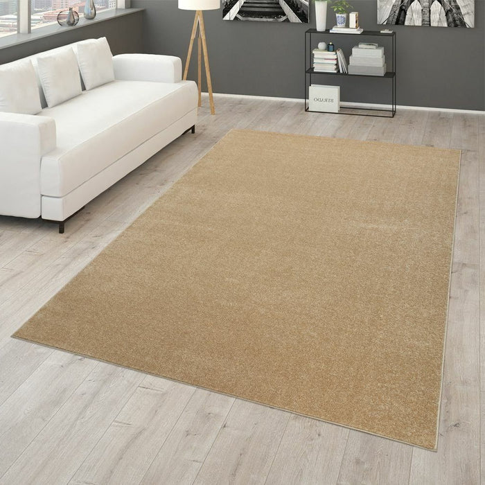 Beige Plain Soft Rug #12506