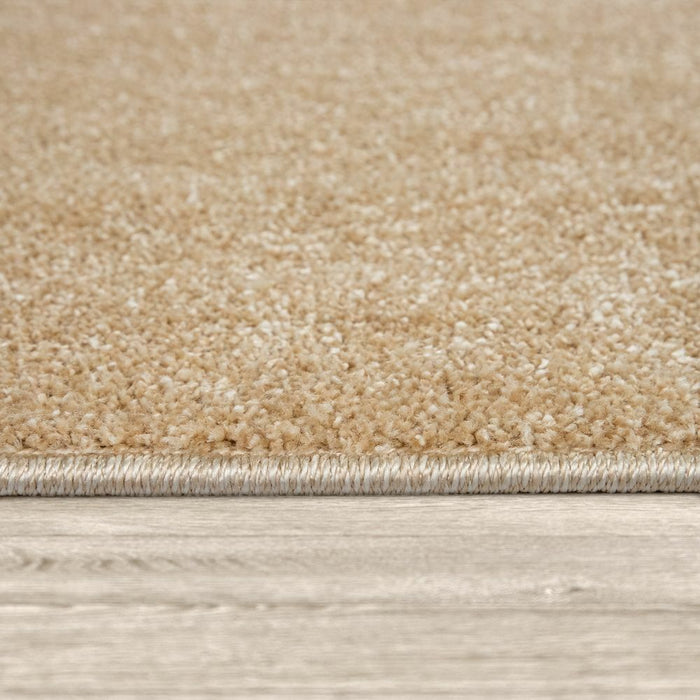 Beige Plain Soft Rug #12506