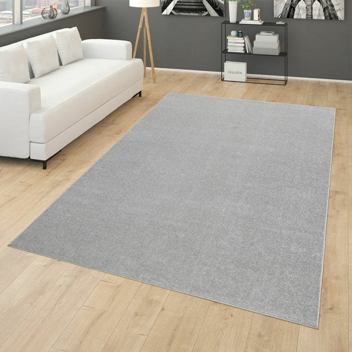 Grey Silver Plain Soft Rug #12501